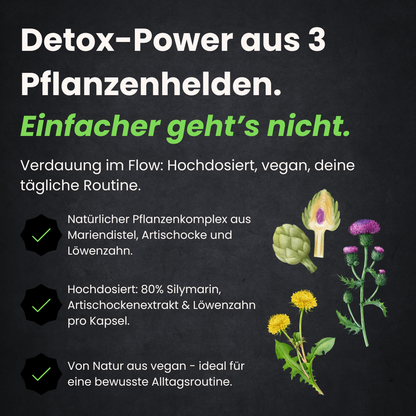 Mariendistel Artischocke Löwenzahn Komplex - 120 Kapseln